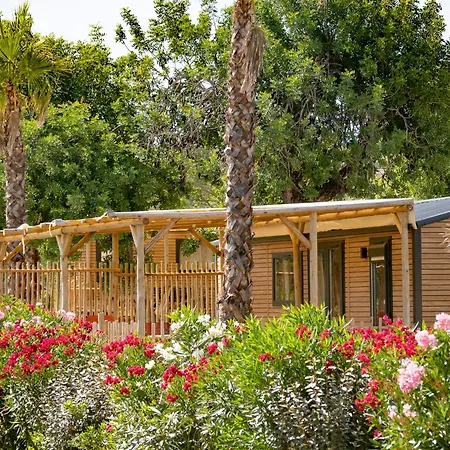 L'orangeraie Camping